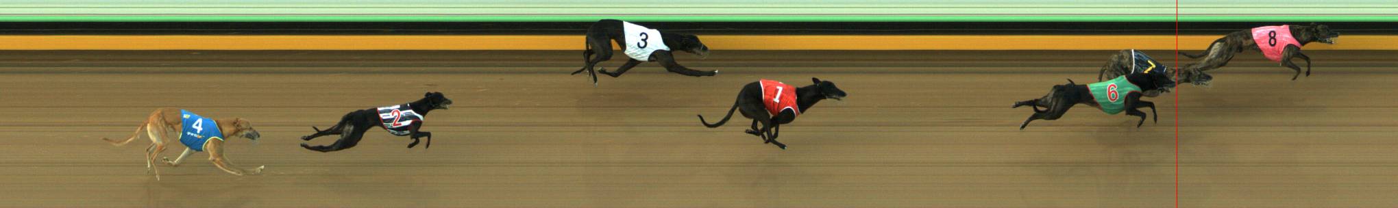 Race result finish photo